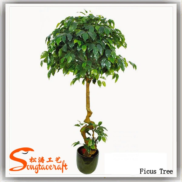 Artificial Potted Small Size Ficus Tree