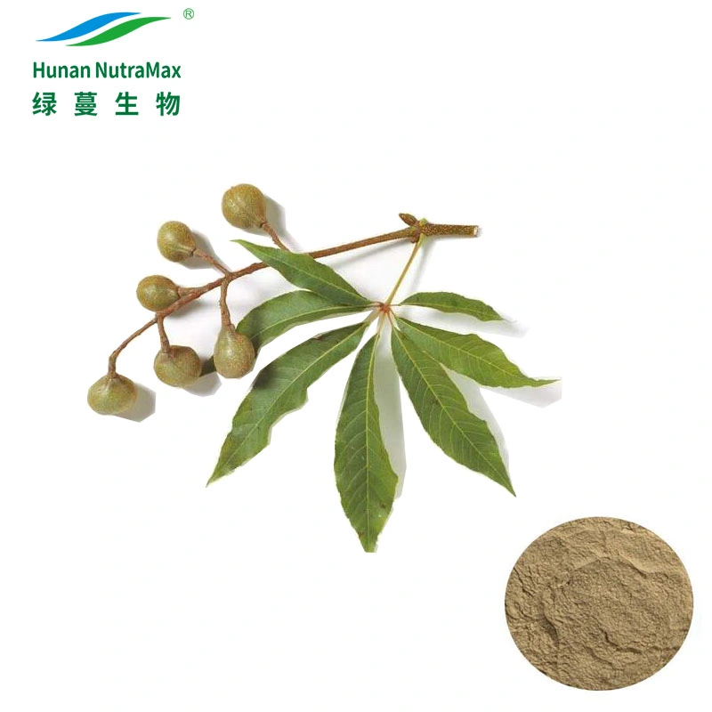 Free Sample 5%~98% Aescin Powder Horse Chestnut Extract with Factory Supply