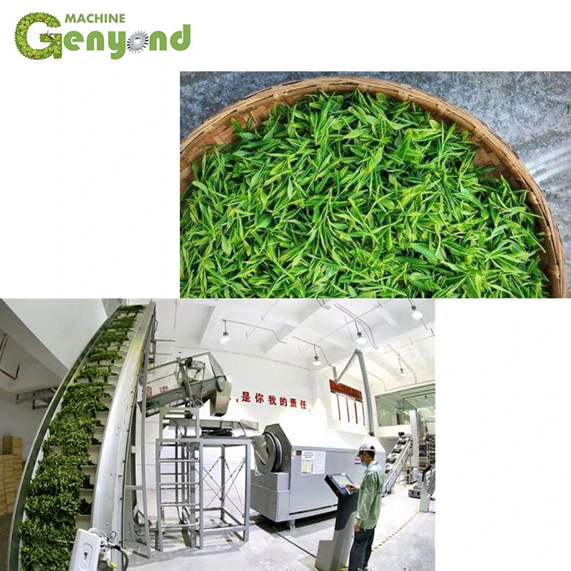 High Capacity Automatic Tea Leaf Make Machine