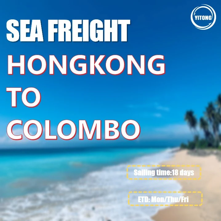 Cargo Shipping Price From Dalian to Colombo Sri Lanka