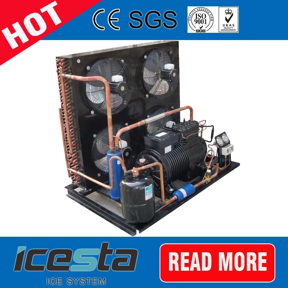 Hot vender Compresor Copeland piezas de equipos de refrigeración de la unidad de condensación.