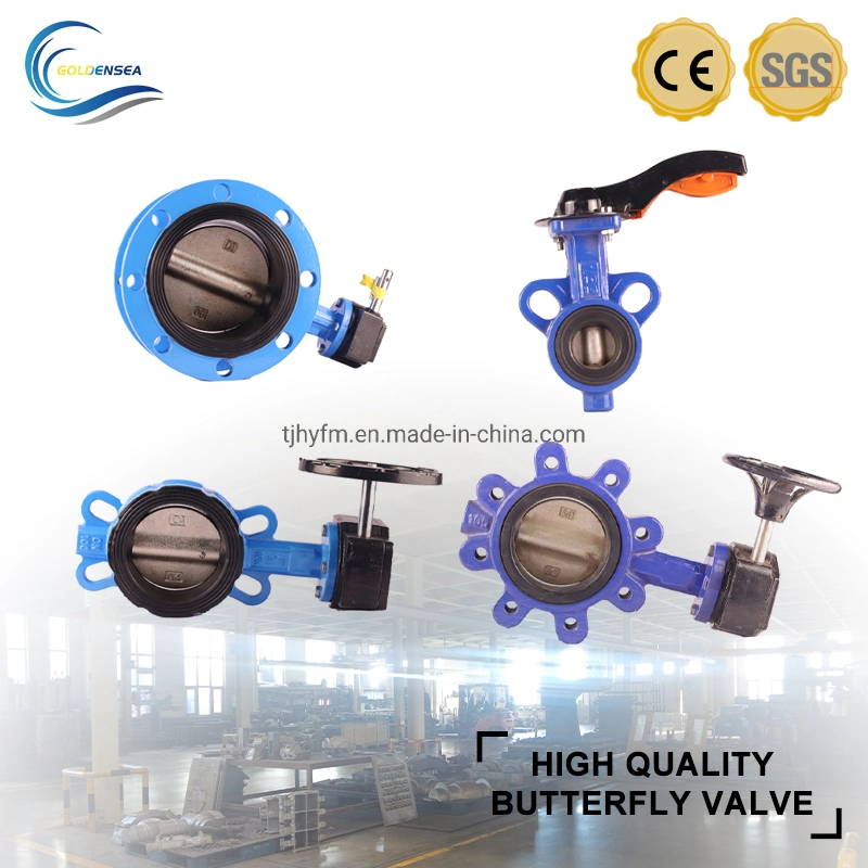 Great Quality API6d Cast Iron U Flange Butterfly Valve with Gearbox for Water Gas Oil and Other Media