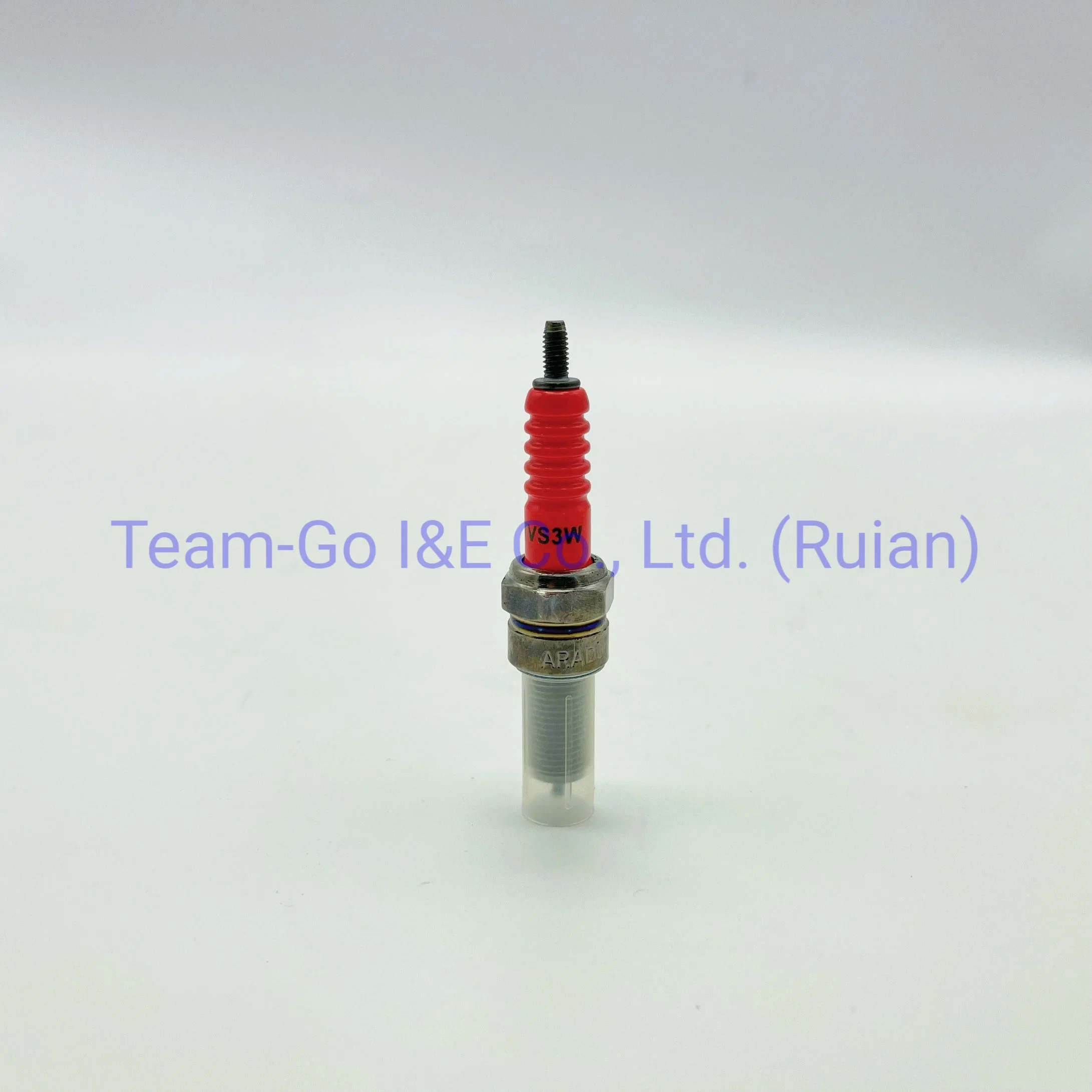 Tricycle Spare Part Spark Plug Tvs3w