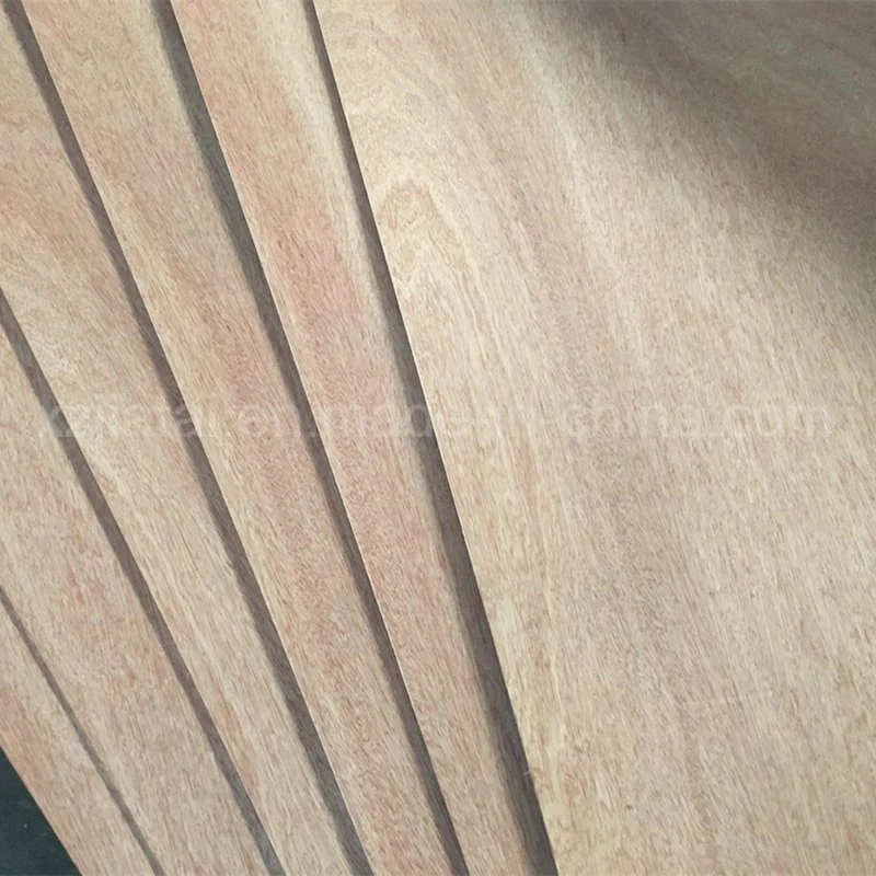 1220*2440mm de la madera la madera frente/espalda Okoume para muebles de madera contrachapada comercial