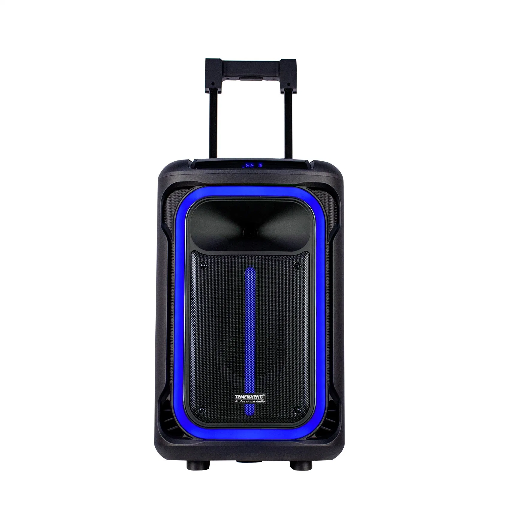 Temeisheng/Lagnting/OEM Hot Selling New Model 12inch Trolley Portable Speaker with New Style Light Active Speaker Bluetooth Speaker