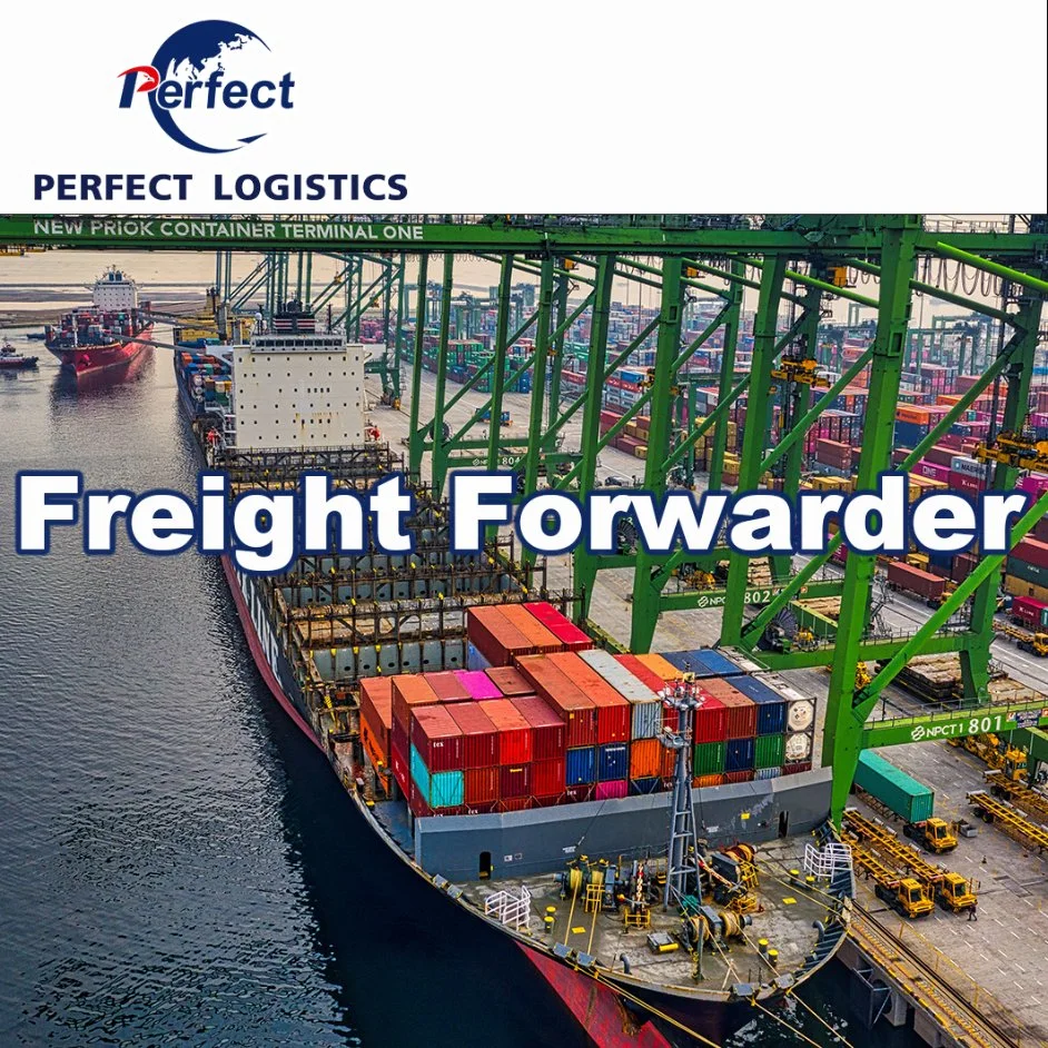 Professional Air Freight Express Logistics Services From China to World DHL/TNT/UPS/FedEx