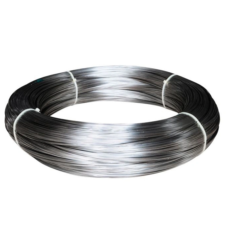 Factory Direct Sale Hot DIP Galvanized Wire/Steel Wire/Spring Wire/Stainless Steel Wire for Binging Metal Wire