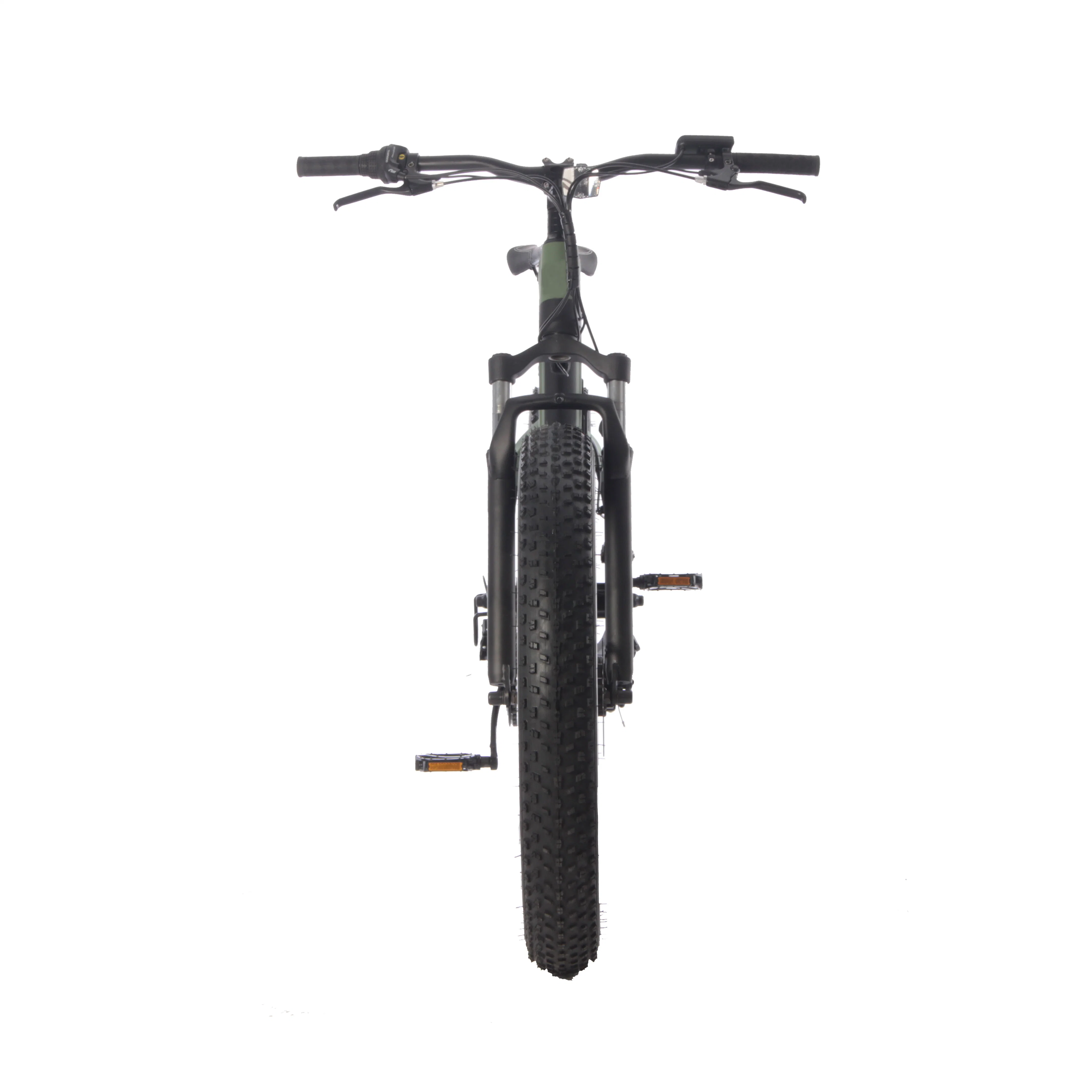 26 Inch Best Design Cheap Electric Fat Bike off Road with Front Fork Suspension Electric Mountain Dirt Bike