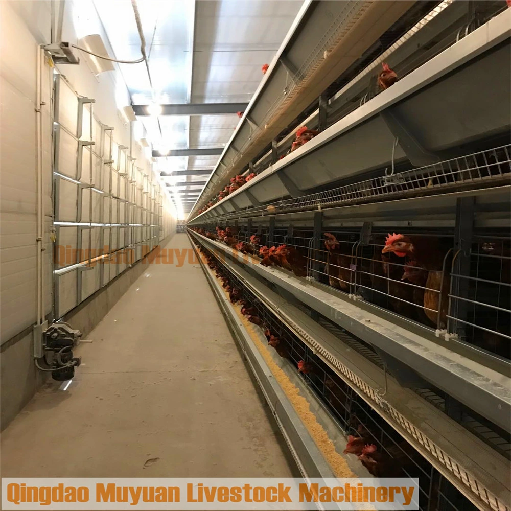 Ferme avicole de la couche de poulet Coop pour le bétail Machinerie