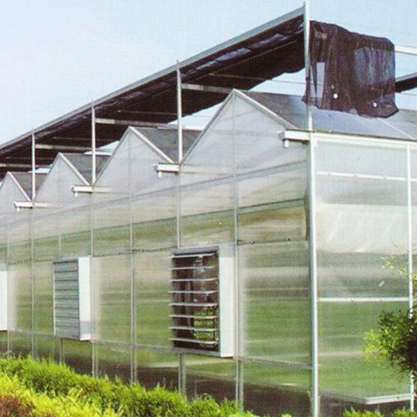 Intelligent Multi Span Poly Carbonate Sheet Greenhouse for Planting