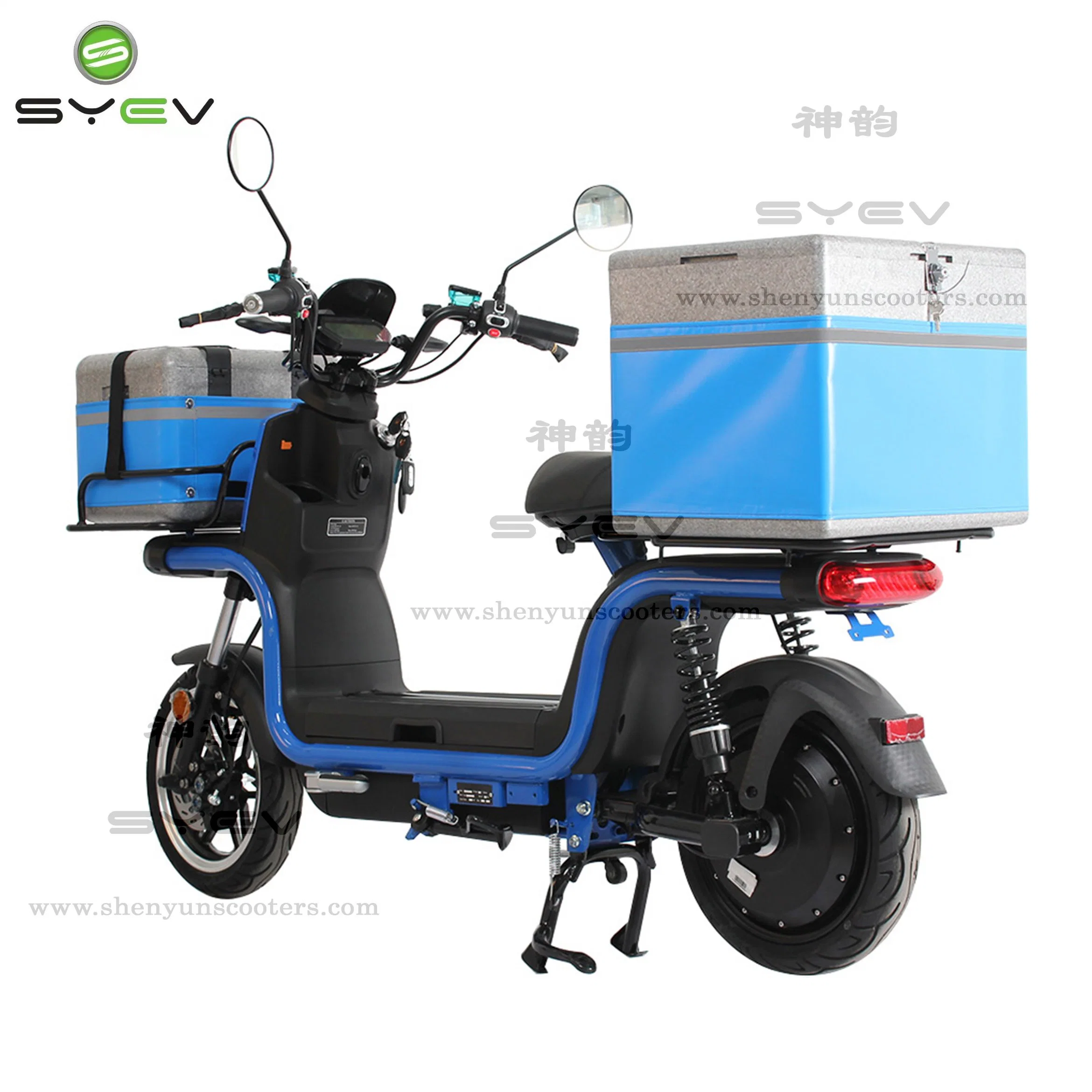 Syev EEC Approve Cargo Delivery Strong E-Motorcycle Electric Scooter Disc Brake