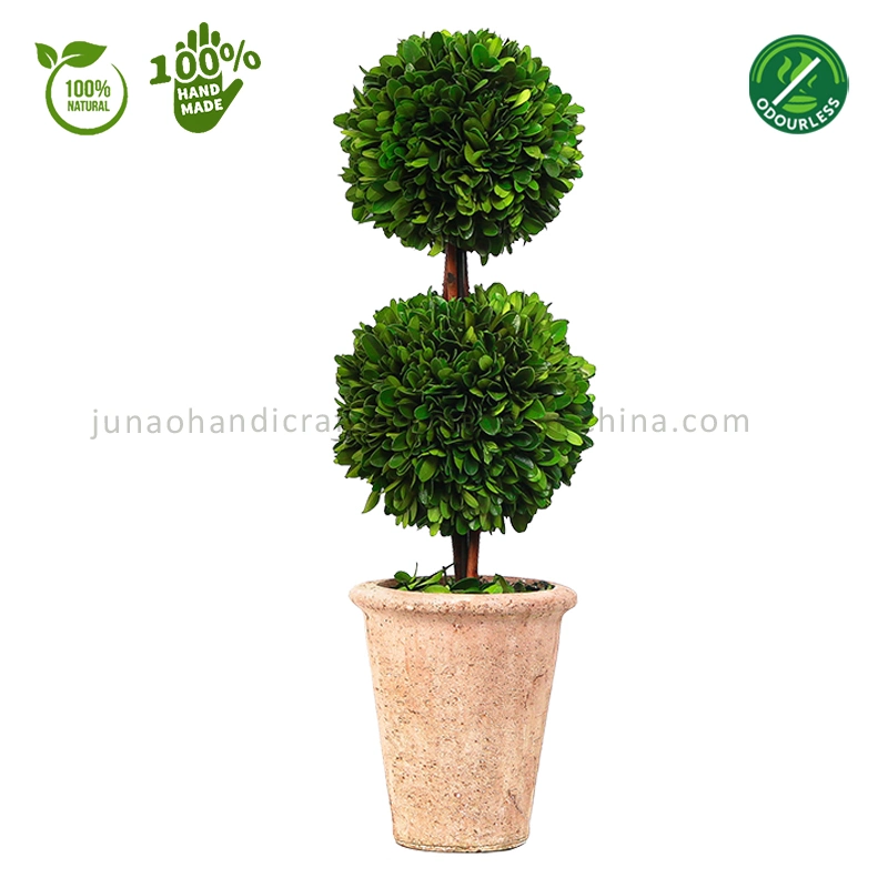 100% Natural Preserved Boxwood Topiary Bonsai Modern Greenery Plant Double Balls Tree Ornaments