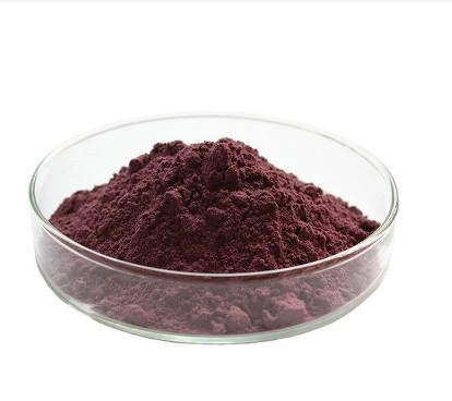 Top Quality Hot Sale 95% Proanthocyanidins (UV) Grape Seed Extract