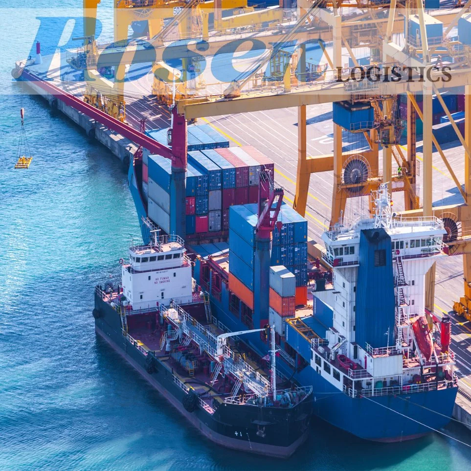Professionelle Bandar Abbas Sea Shipping Company Breakbulk Schiff Aus China