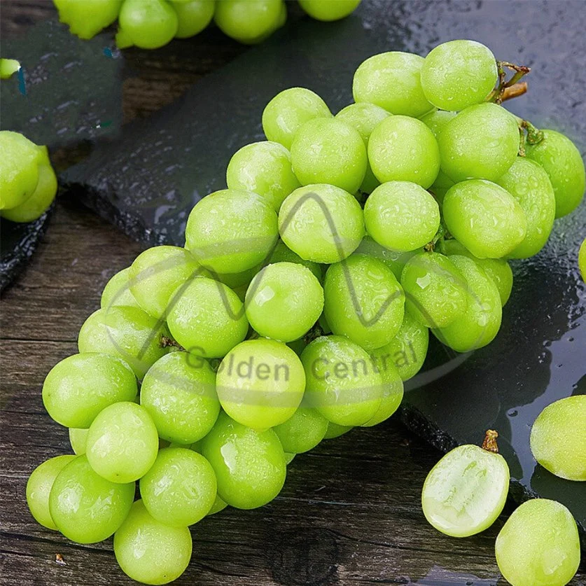 Best Price Fresh Sweet Shine Green Grape China New Supply