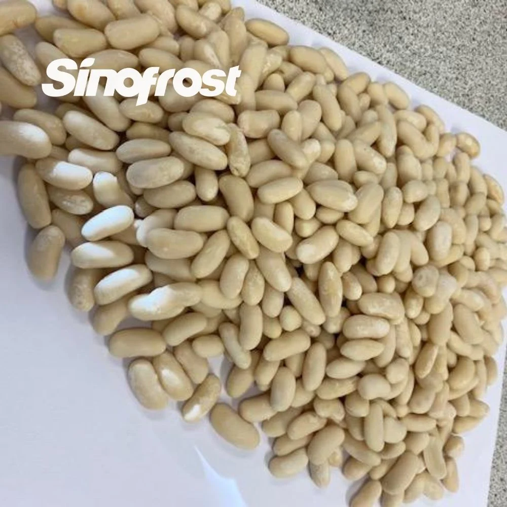 Sinofrost: Reliable IQF Frozen White Kidney Beans Bulk Supplier & Wholesale/Supplier Distributor