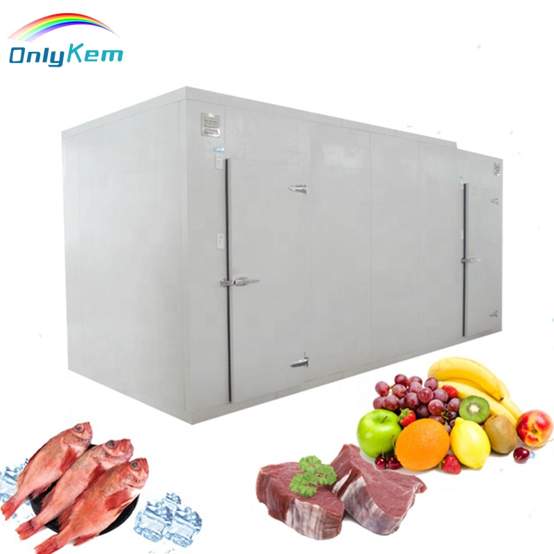 Замороженные номер оборудования Blast морозильной камеры хранения для холодного мяса и рыбы