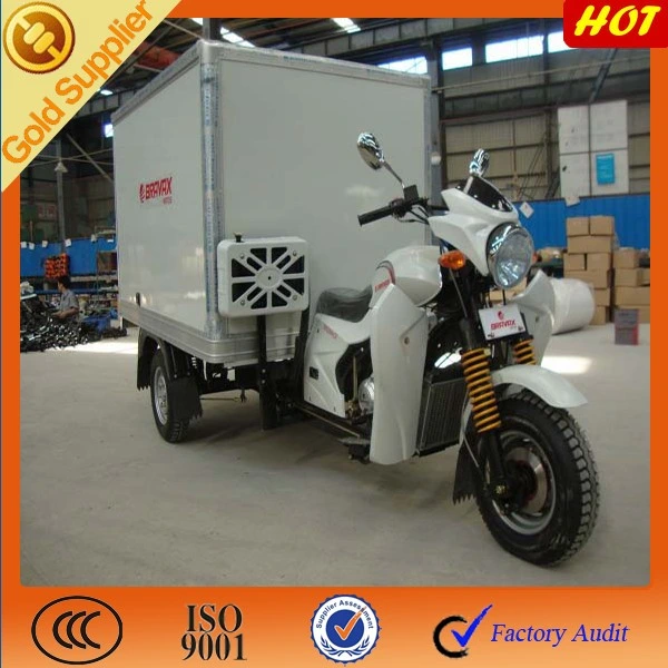 Cargo Loader Passenger Tricycle Keke Rickshaw New Big Wheel Trike