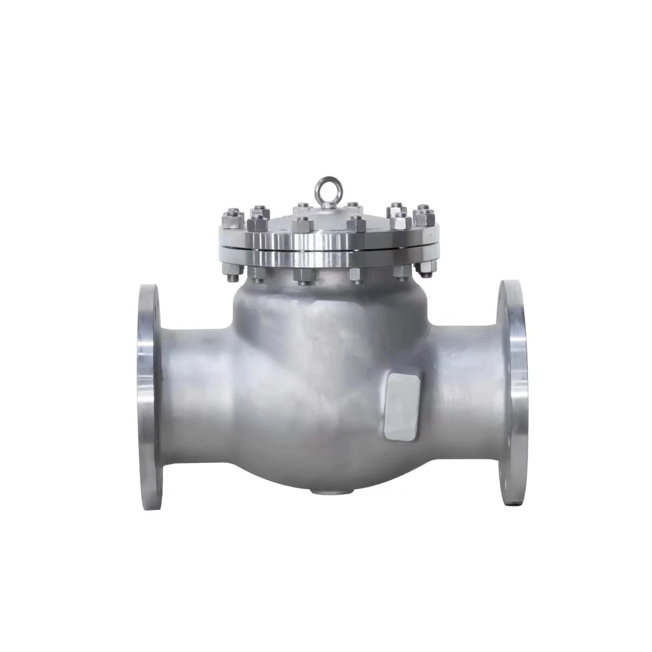 Factory Price API ANSI Stainless Steel 2" Flange Bolted Cover Swing Check Valve