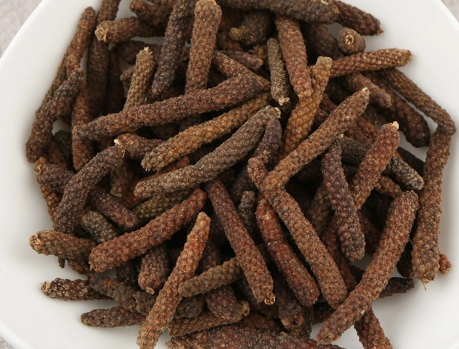 Piper Longum (fruit-spike) Plant Extract Prepared Traditional Chinese Herbal Medicine Warm Interior