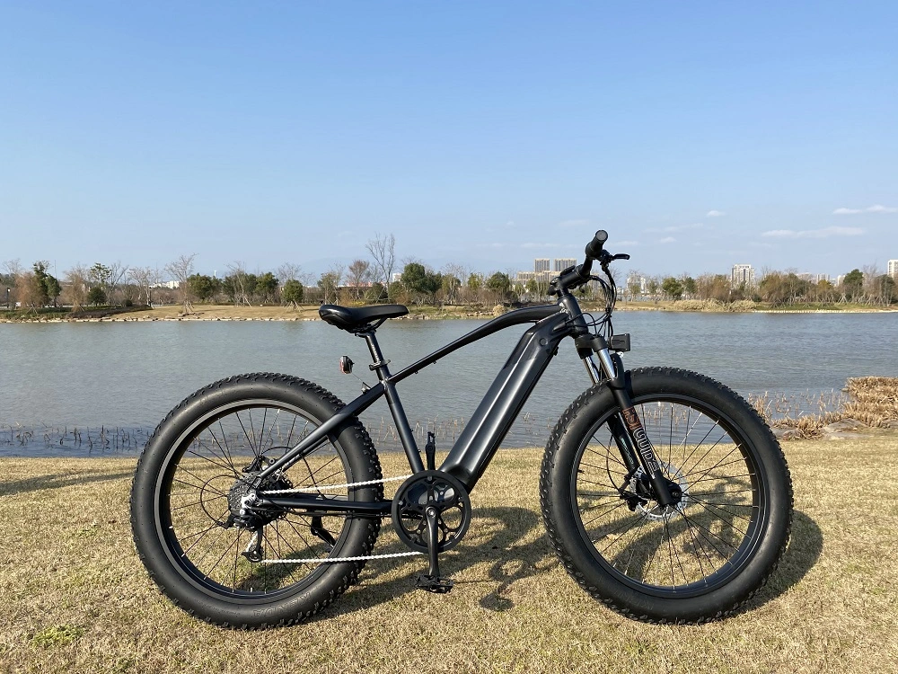 750W 52V Fat Tire Mountain Electric Bike Ebike 5% Discount