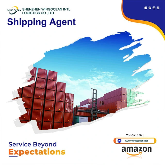 L'entrepôt franc Ebay Agent Shopify Dropshipping Drop Shipping Service FBA Agent d'expédition