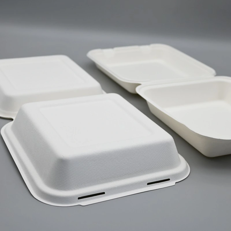 Sugarcane Bagasse Disposable Environmentally Friendly Flip Over Lunch Box 8.5inch