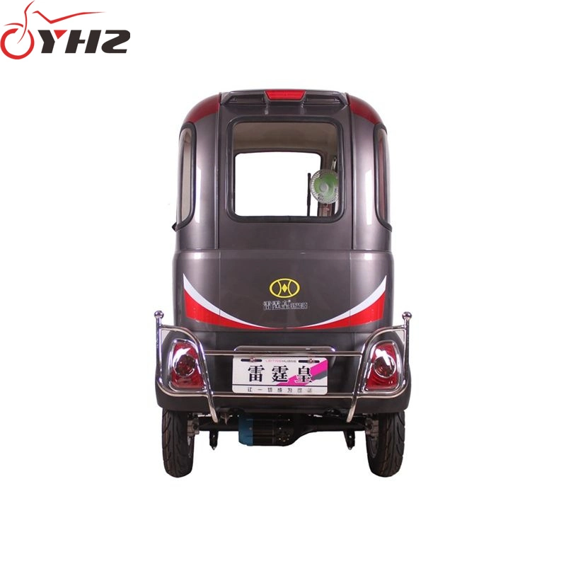 Fully Enclosed 1000W Electric Car Three-Wheel Mobility Scooter for Adult Cheap Price