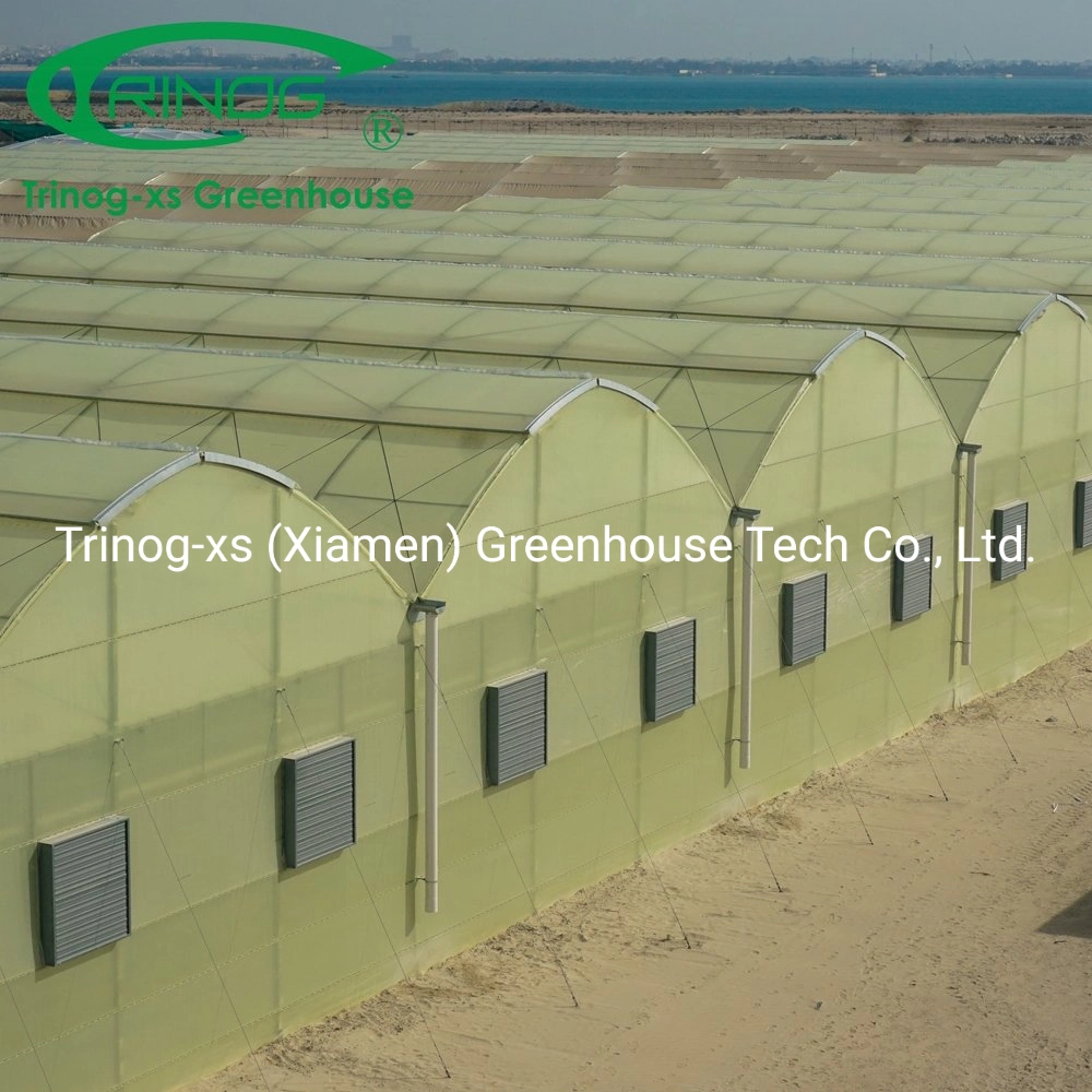 Trinog greenhouse plastic film galvanized zinc coat frame greenhouse for flower house