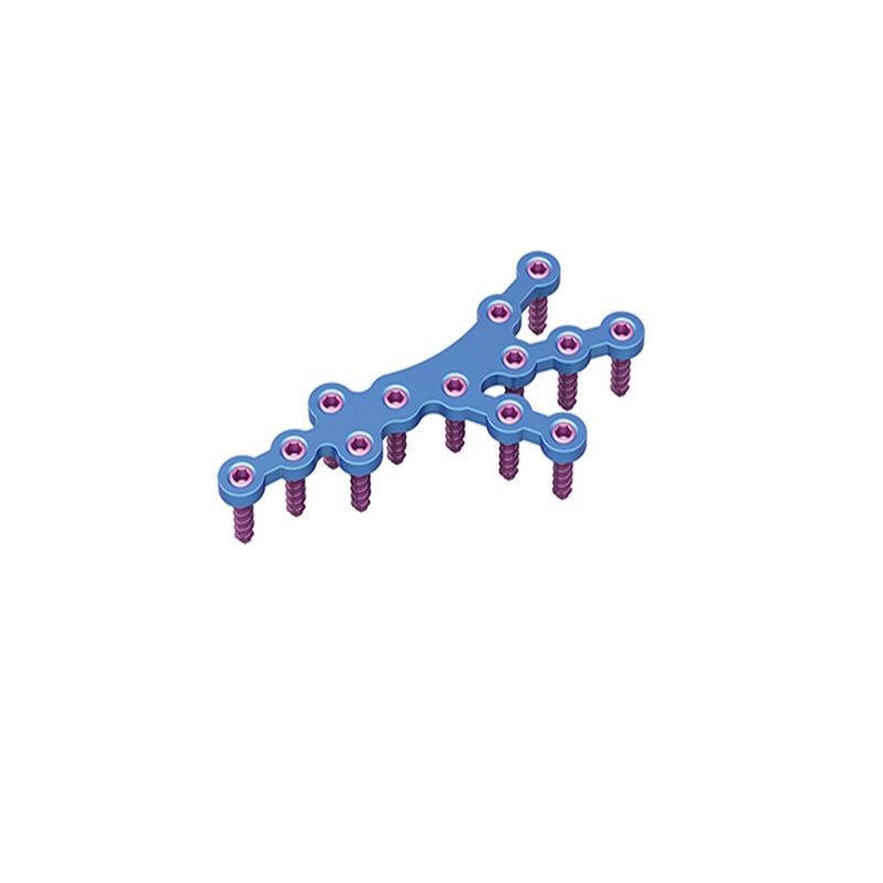 Hochwertige chirurgische Orthopädische Implantate Calcaneus Verschlussplatte für Calcaneus (Kleine Kopfschraube) (L/R)