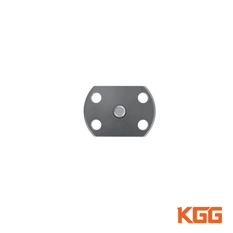 Kgg Mini Step T Cold Rolled Ball Screw for Sports Equipment (GT Series, Lead: 1mm, Shaft: 4mm)