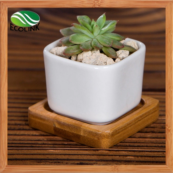 Various Ceramic Succulent Pot with Bamboo Tray