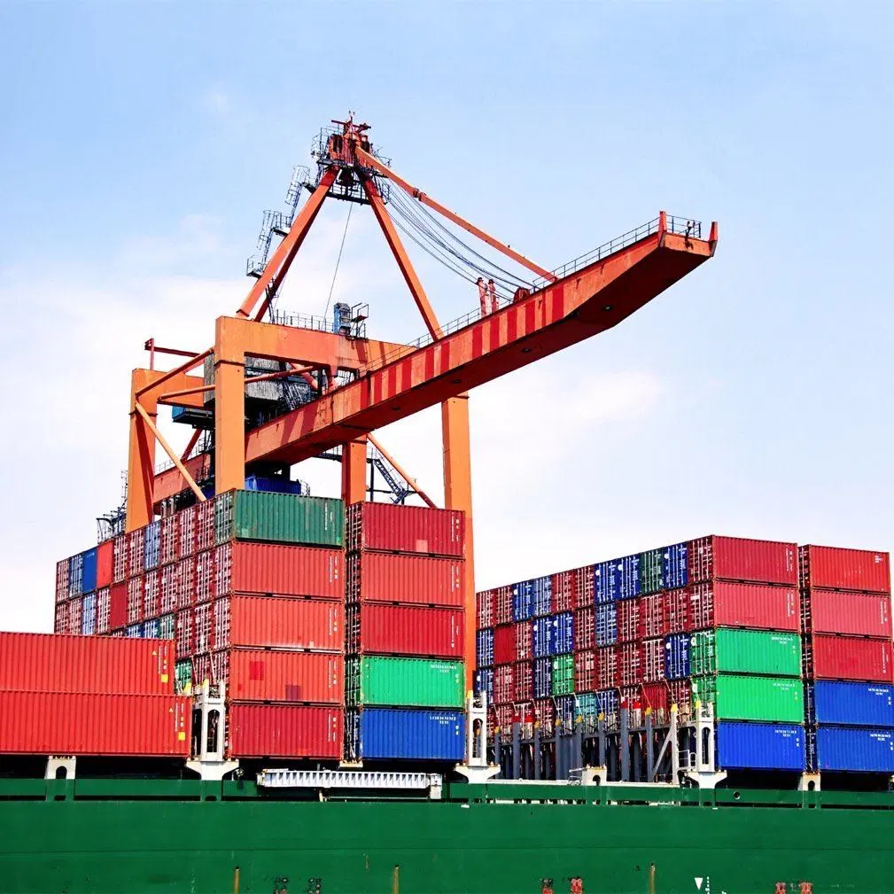 Ocean Shipping Agent Service Logistics Freight Forwarder Door to Door Sea Freight to North America