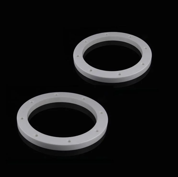Zirconium Oxide/Zirconia/Zro2 Ceramic Seal Rings for Pump Applications