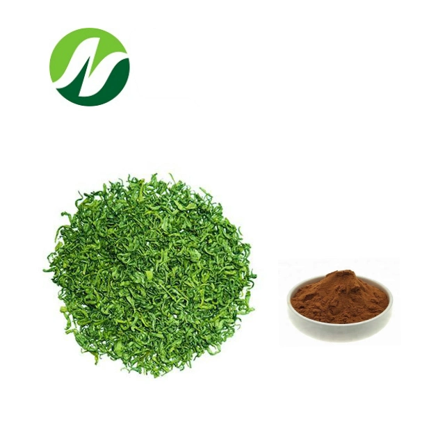 Qualidade superior 10% - 98% polifenóis / 10% - 80% Catequinas 10 - 95% EGCG Green Tea Extract