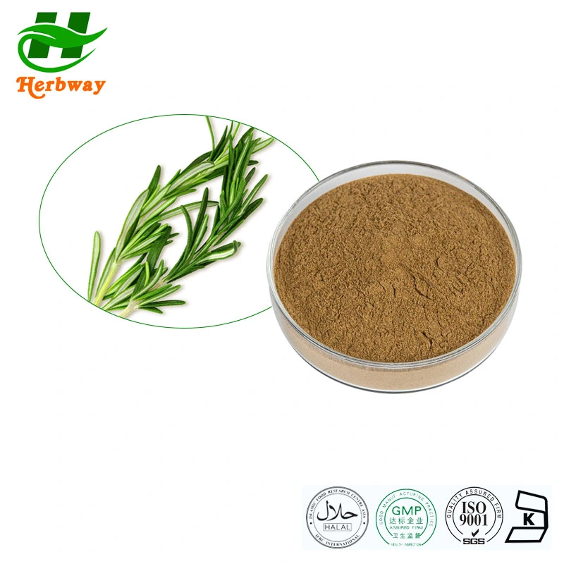 Herbway Herbal Plant Extract Kosher Halal Fssc HACCP Certified Rosmarinic Acid Carnosic Acid Rosemary Extract