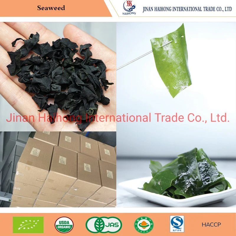 High Quality Dried Wakame Leaves Cut