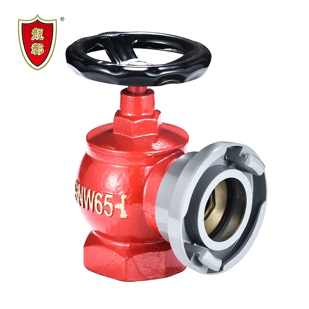 DN65 2.5'' Ductile Iron Rotary Body Indoor Fire Hydrant Valve with Removable Coupling