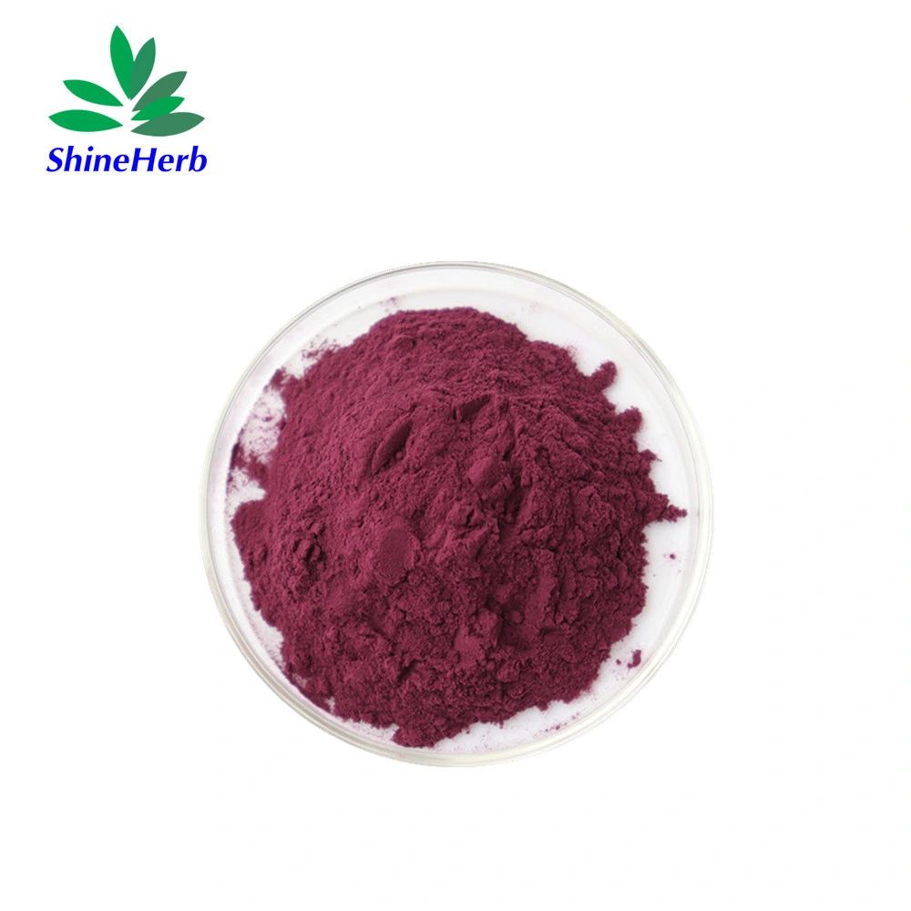 Wholesale/Supplier Hibiscus Sabdariffa Extract Roselle Flower Extract Powder