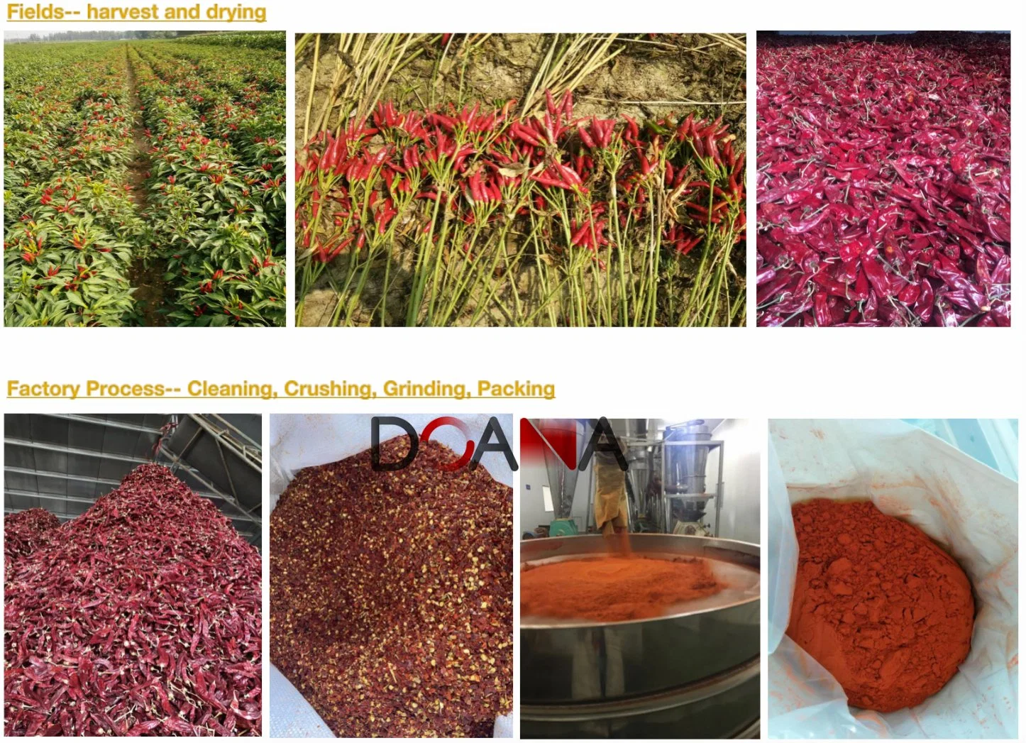 Wholesale/Supplier Price Seasoning Additive Dried Red Hot Chilli Crush Chili Powder