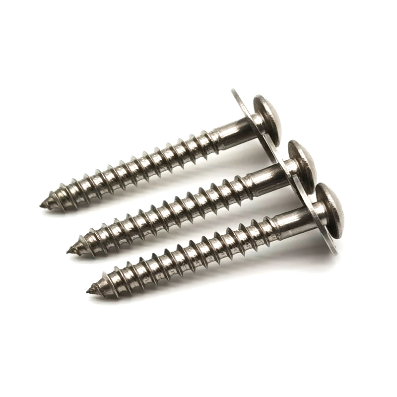 Stainless Steel Drywall Wood Roofing Phillips Chipboard Machine Screw Self Tapping Self Drilling Screw