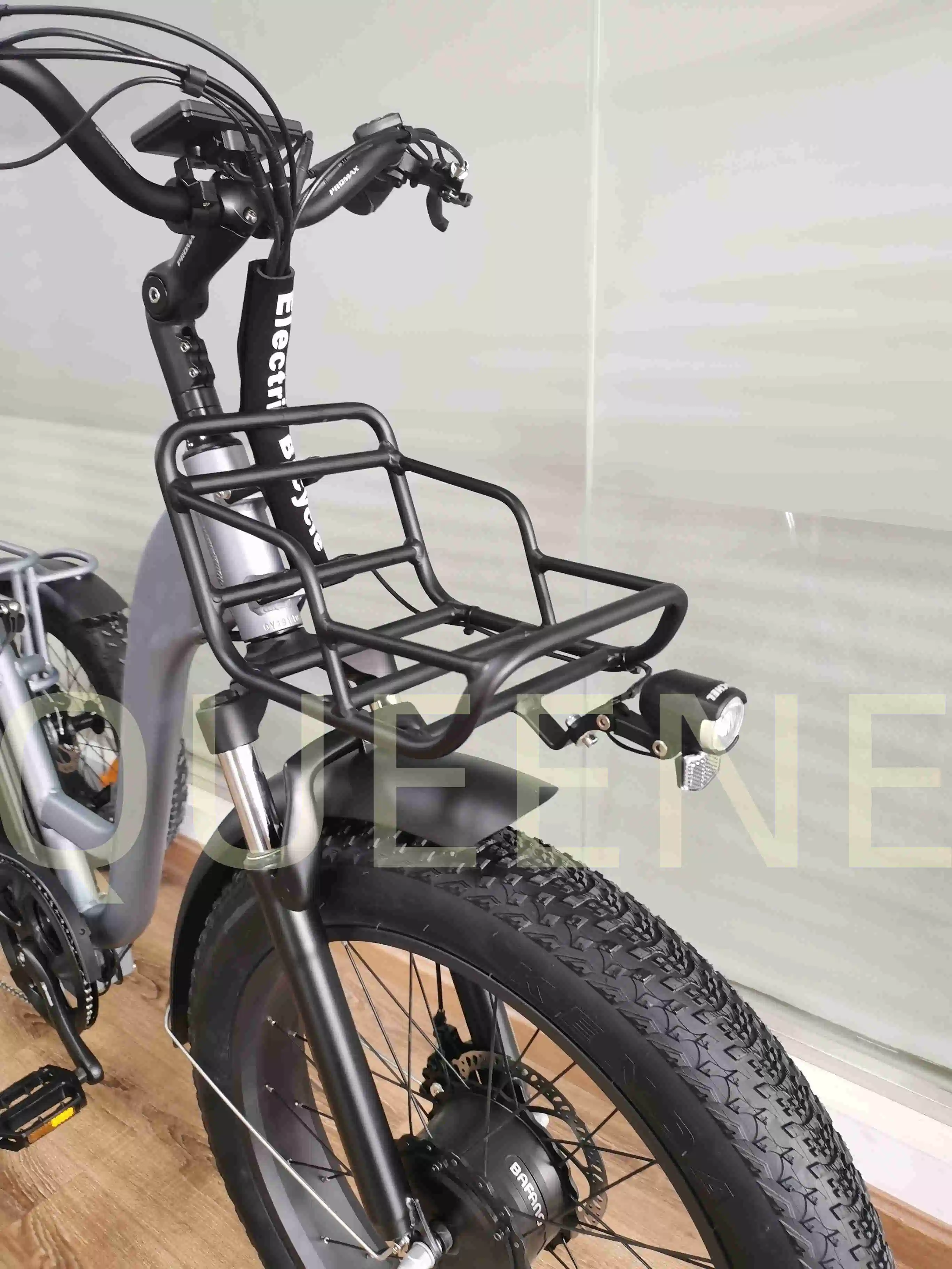 Queene Fat Tire Mountain E-Bike Factory Ebike 500W Food Delivery Trike