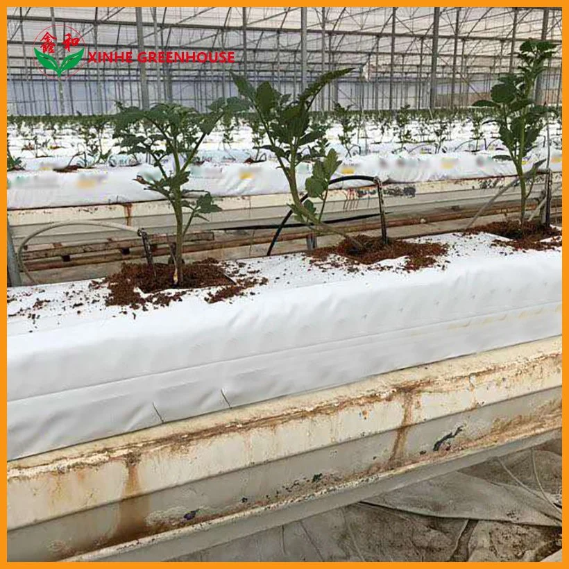 La película túnel agrícola creciente Sistema de crecimiento para el tomate de invernadero