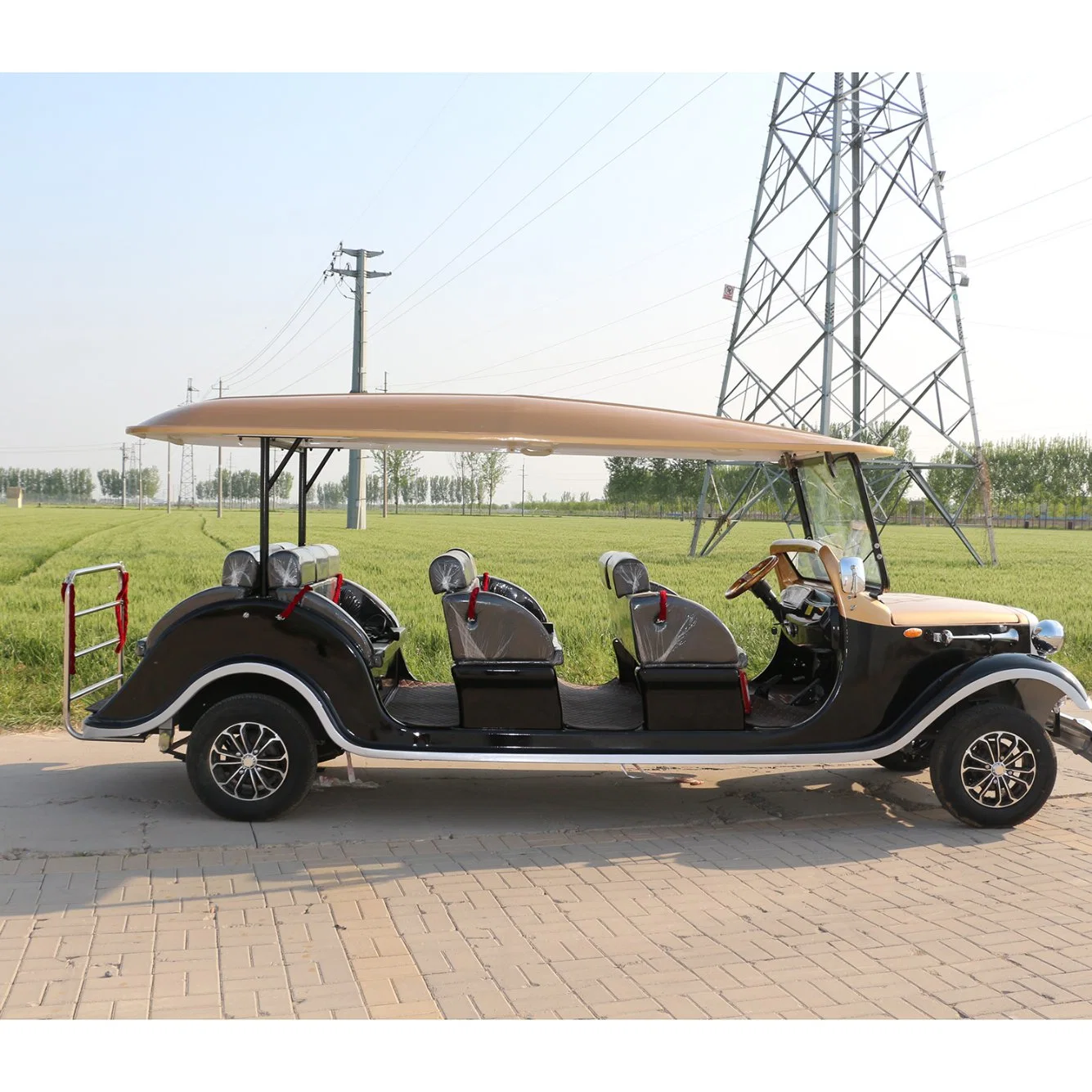 11 Seats Electric Classic Vintage Sightseeing Car with CE