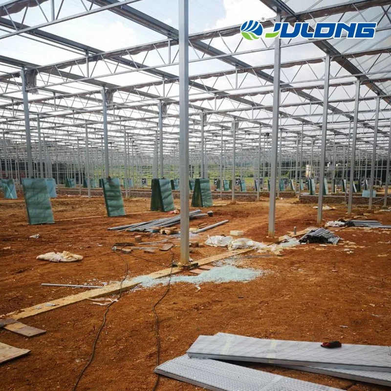 Full Automatic Control System Agriculture Building Commercial Farming Polycarbonate Greenhouse with Climate Control System for Tomato Greenhouse