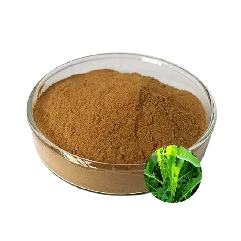 Bulk Chinesische Kräutermedizin Herba Patriniae Extrakt