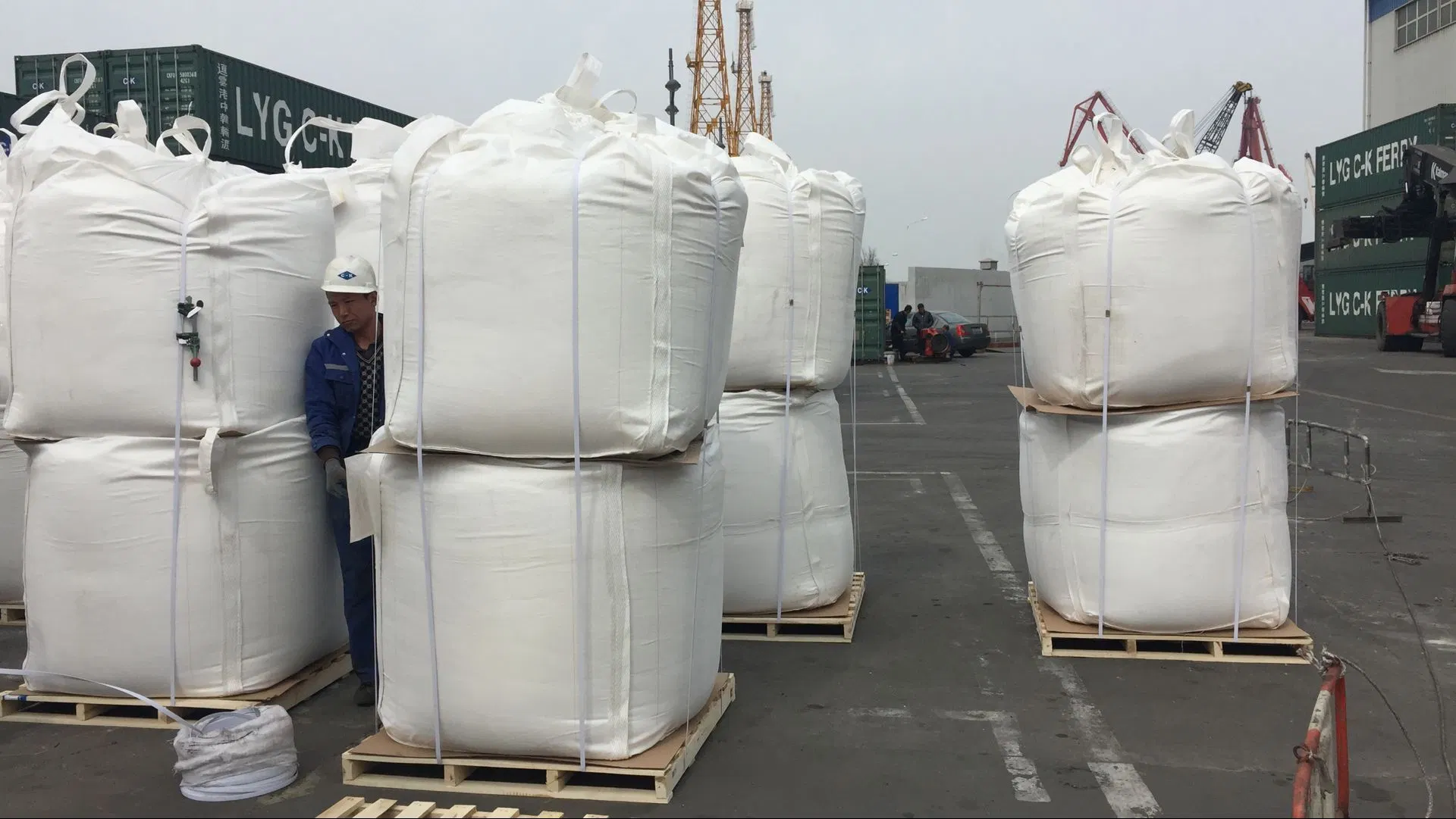 Animal Feed Mono-Dicalcium Phosphate 21%Min Feed Grade