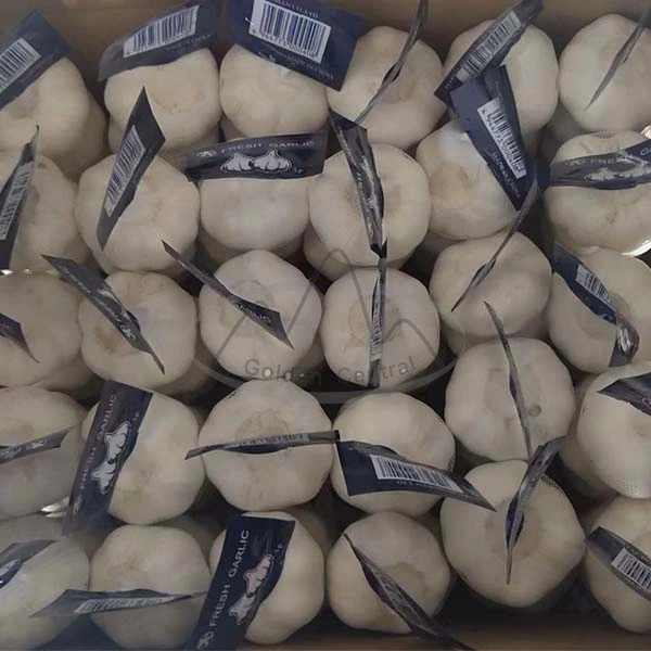 China Hot Sale Fresh Garlic 200g Pack, Normal White Garlic