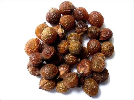 Hochwertiger Sapindus Mukorossi Soapnut Extrakt mit Sapindosid