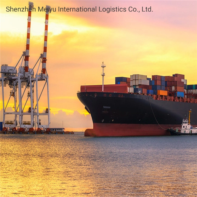 Cheapest Freight Forwarder DDU/DDP Sea Shipping to Italy